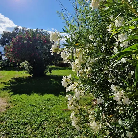 Mes A La Campagne * Orange (Vaucluse)